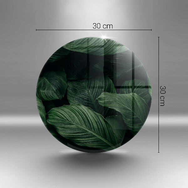 Protection plaque induction Feuilles sombres