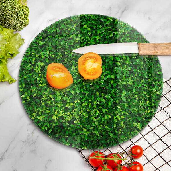 Protection plaque induction Plante à petites feuilles