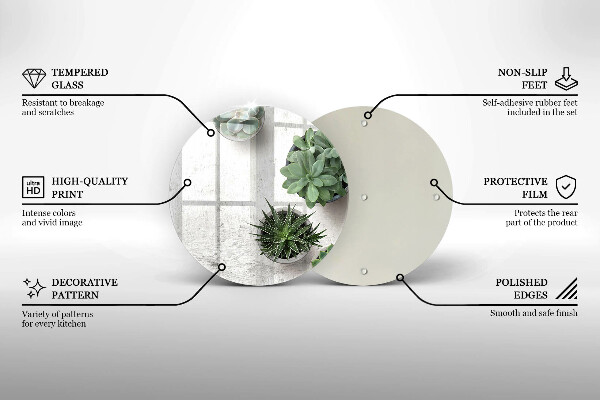 Protection plaque induction Plantes succulentes sur béton