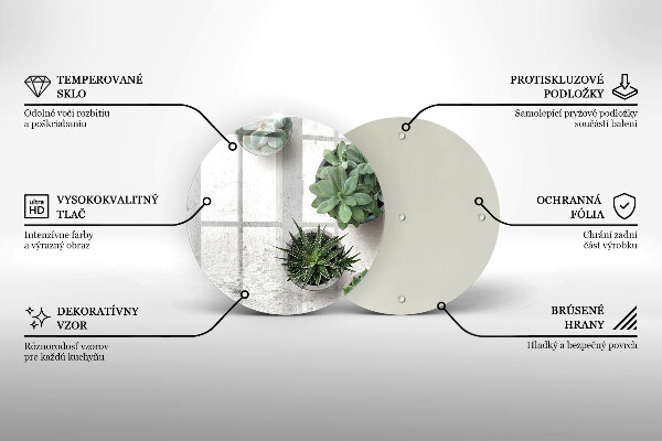 Protection plaque induction Plantes succulentes sur béton