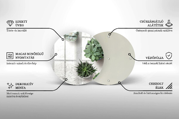 Protection plaque induction Plantes succulentes sur béton