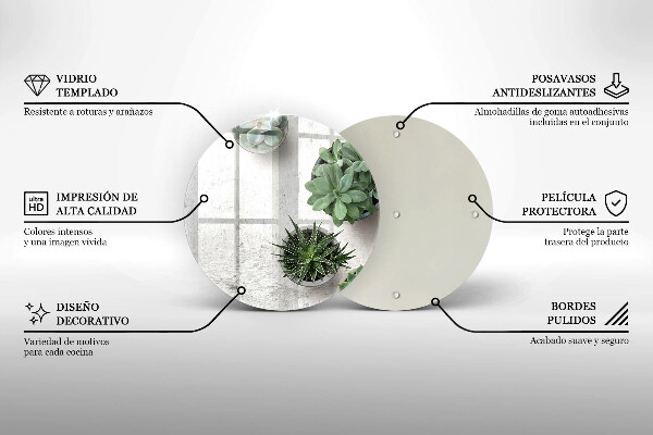 Protection plaque induction Plantes succulentes sur béton