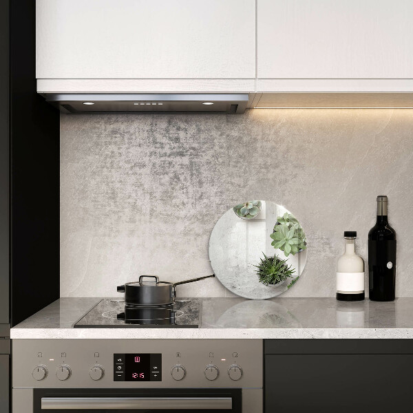 Protection plaque induction Plantes succulentes sur béton