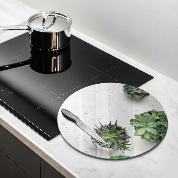 Protection plaque induction Plantes succulentes sur béton