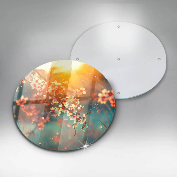 Protection plaque induction Les pommiers fleurissent au soleil