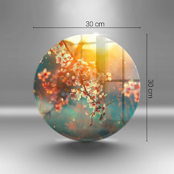 Protection plaque induction Les pommiers fleurissent au soleil