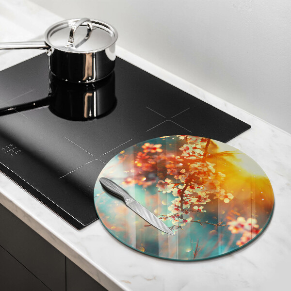 Protection plaque induction Les pommiers fleurissent au soleil