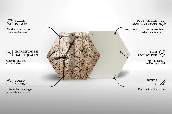 Cache plaque de cuisson Coupe transversale d'un arbre