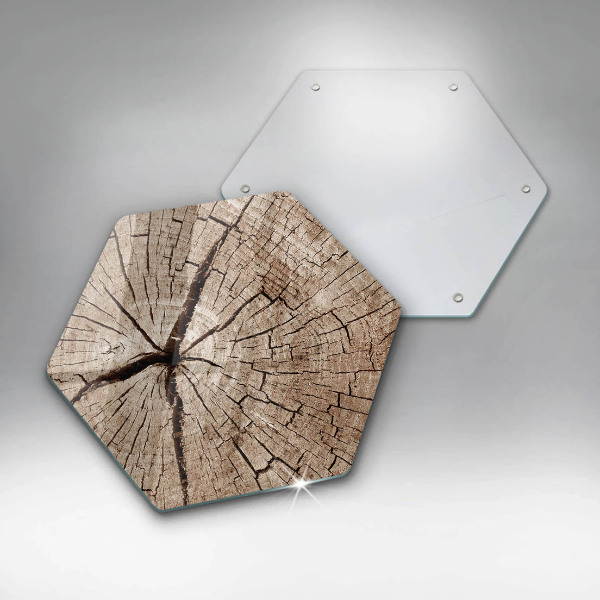 Cache plaque de cuisson Coupe transversale d'un arbre