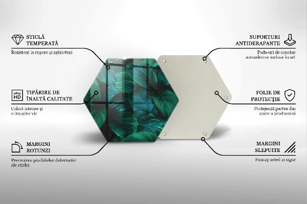 Protection plaque induction Feuilles de la jungle