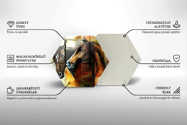 Protection plaque induction Animaux chevaux