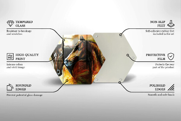 Protection plaque induction Animaux chevaux