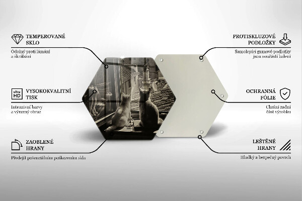 Cache plaque de cuisson Ville et fenêtre des chats