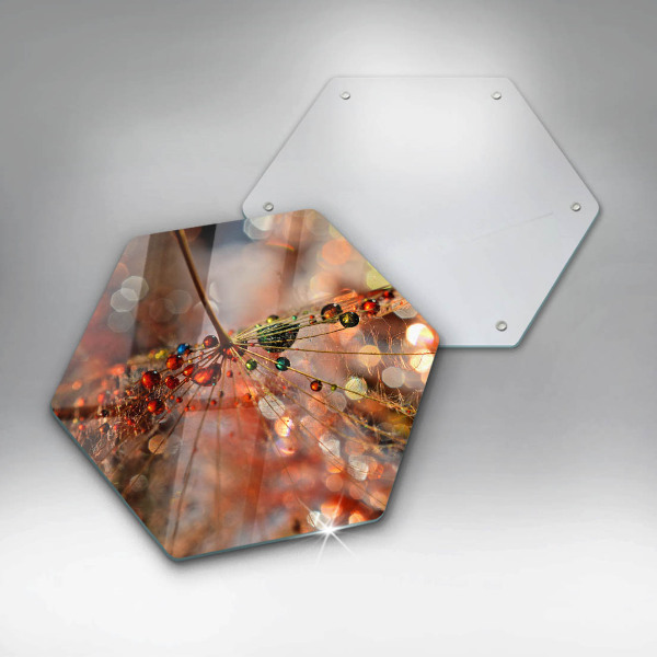 Cache plaque de cuisson Pissenlit mouillé