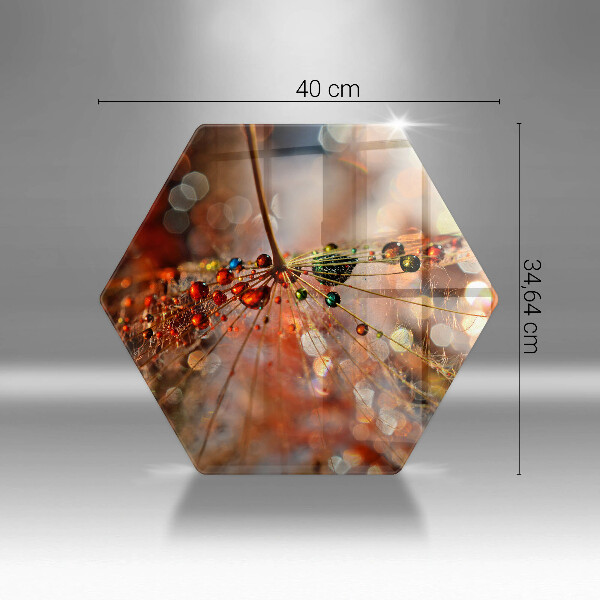 Cache plaque de cuisson Pissenlit mouillé