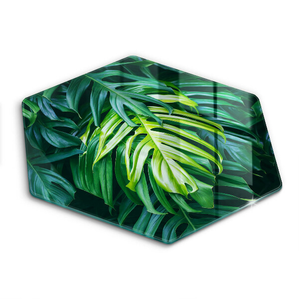 Cache plaque de cuisson Feuilles de monstera sauvage