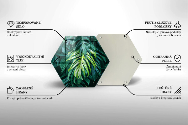 Cache plaque de cuisson Feuilles de monstera sauvage