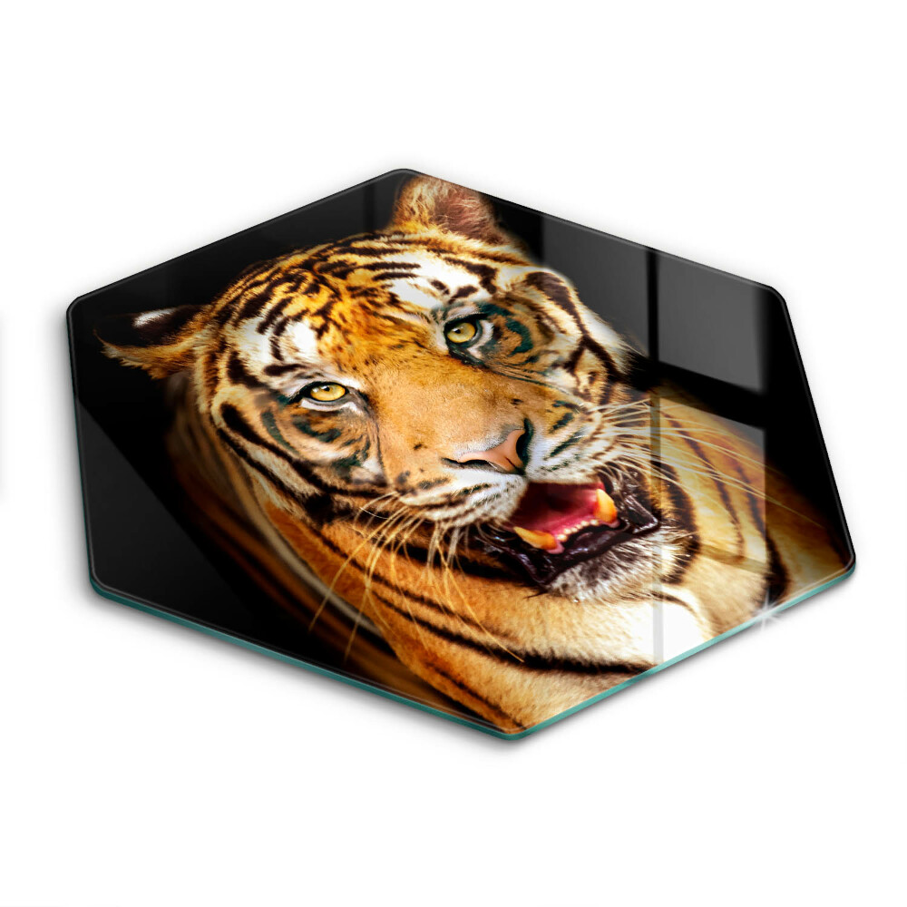Cache plaque de cuisson Tigre animal sauvage