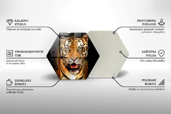 Cache plaque de cuisson Tigre animal sauvage