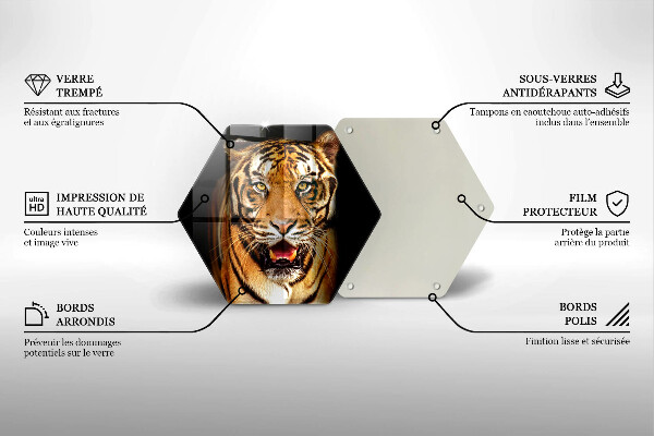 Cache plaque de cuisson Tigre animal sauvage