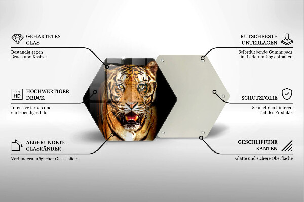 Cache plaque de cuisson Tigre animal sauvage