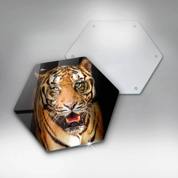 Cache plaque de cuisson Tigre animal sauvage