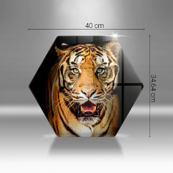 Cache plaque de cuisson Tigre animal sauvage