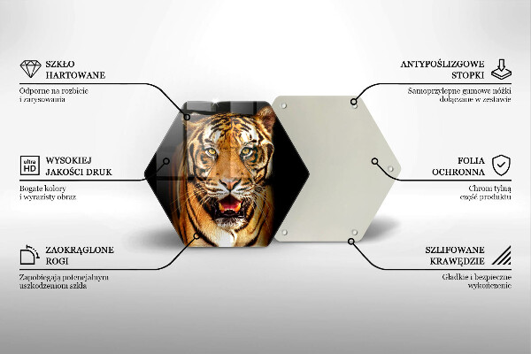 Cache plaque de cuisson Tigre animal sauvage