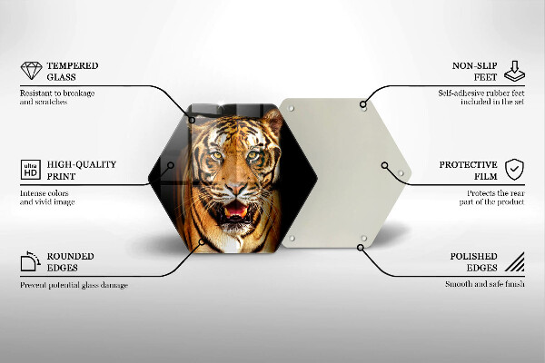 Cache plaque de cuisson Tigre animal sauvage