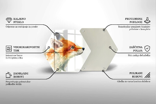 Protection plaque induction Renard peint