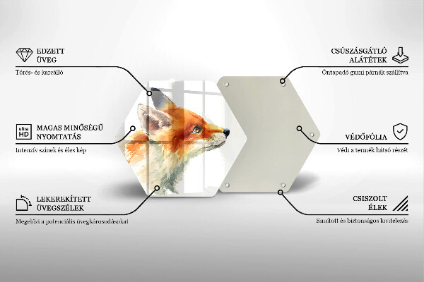 Protection plaque induction Renard peint