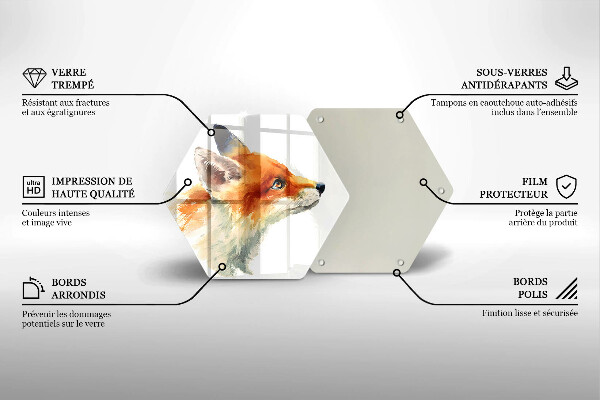 Protection plaque induction Renard peint