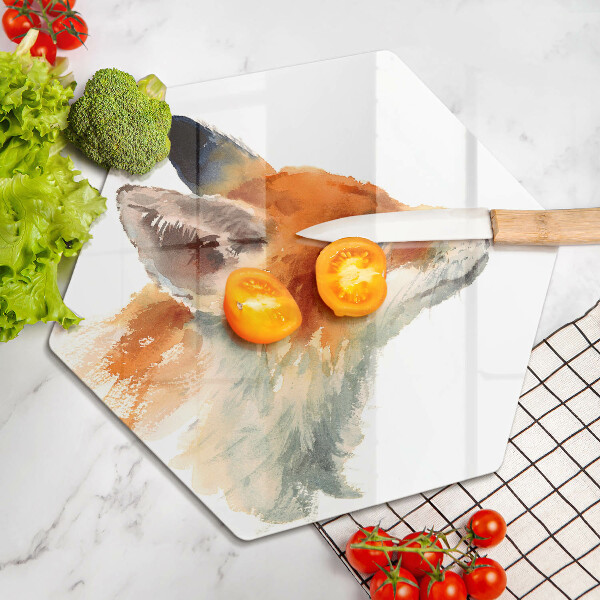 Protection plaque induction Renard peint