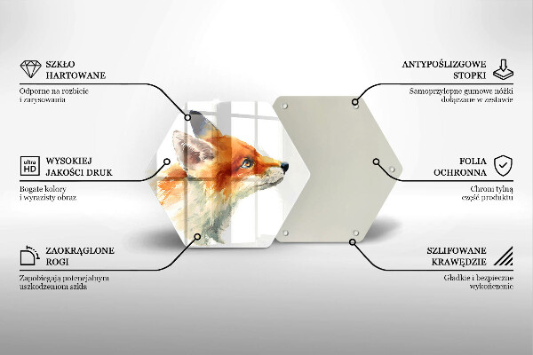 Protection plaque induction Renard peint