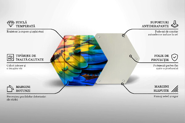 Protection plaque induction Plumes de perroquet colorées