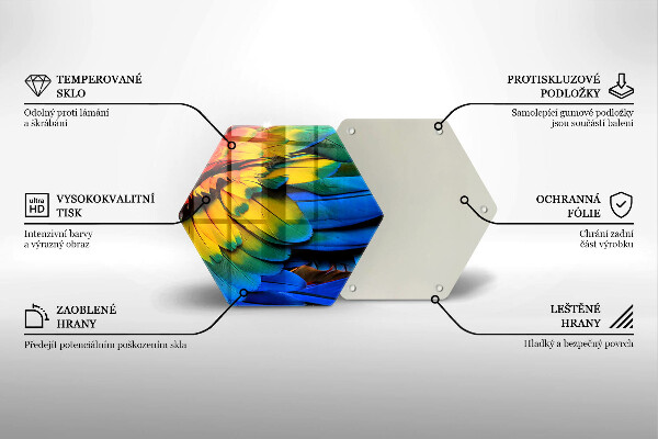 Protection plaque induction Plumes de perroquet colorées