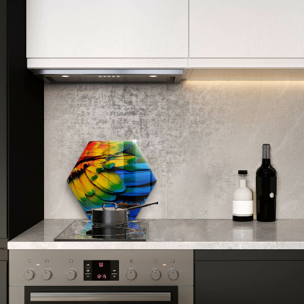 Protection plaque induction Plumes de perroquet colorées