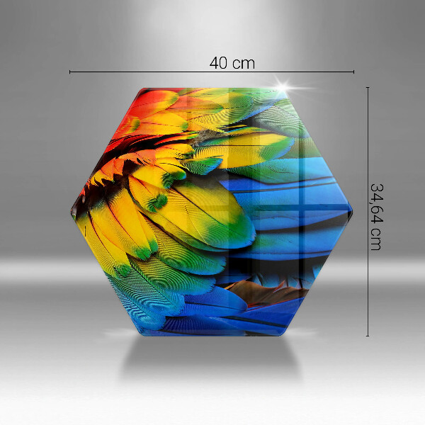 Protection plaque induction Plumes de perroquet colorées