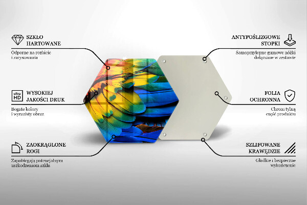 Protection plaque induction Plumes de perroquet colorées