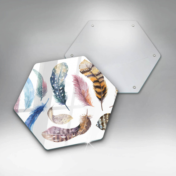 Protection plaque induction Plumes d'oiseaux colorées