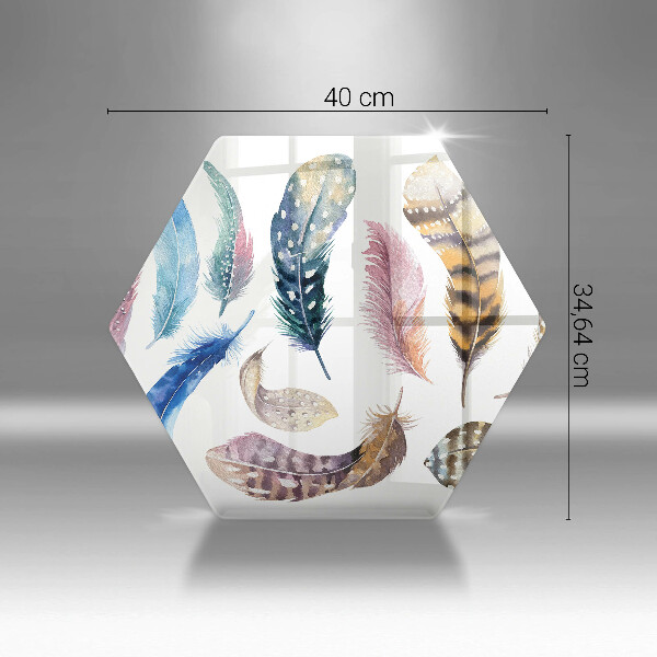 Protection plaque induction Plumes d'oiseaux colorées