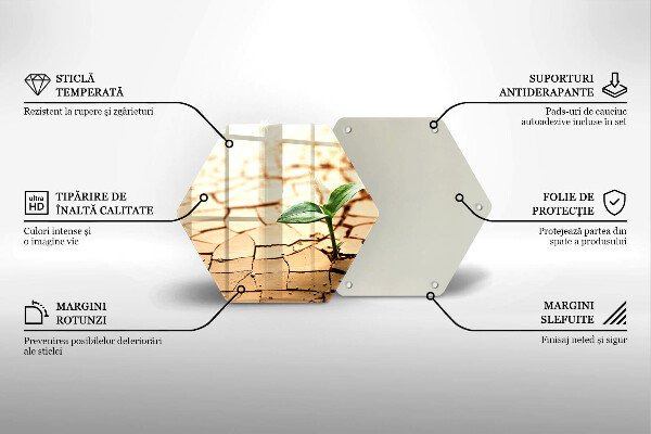 Cache plaque de cuisson Une plante solitaire