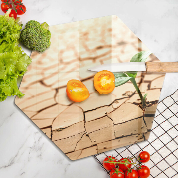 Cache plaque de cuisson Une plante solitaire