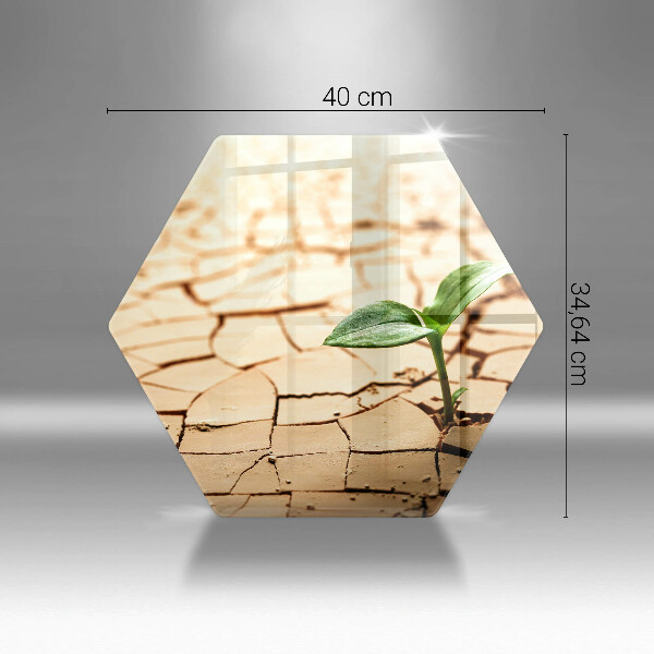 Cache plaque de cuisson Une plante solitaire