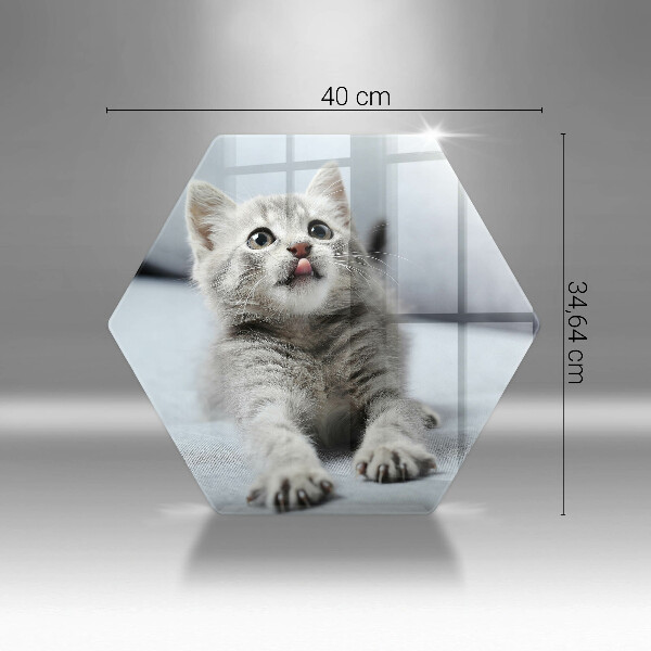 Cache plaque de cuisson Petit chaton mignon