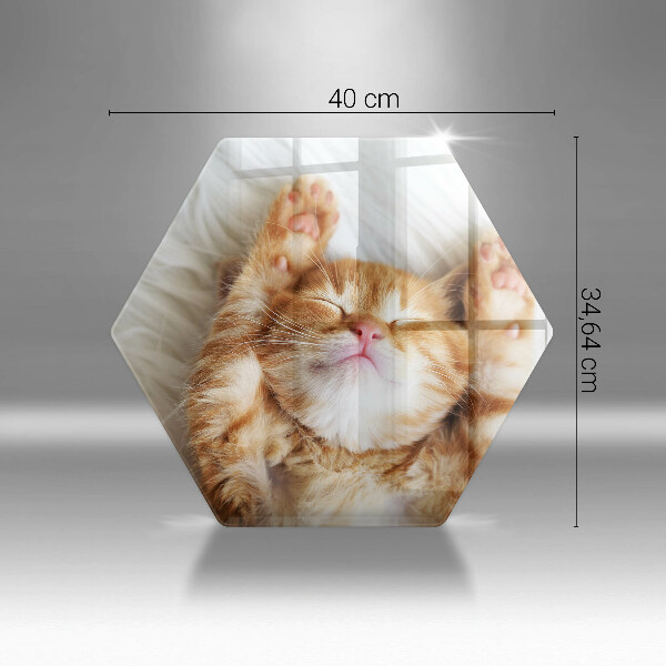 Cache plaque de cuisson Petit chaton mignon