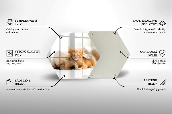 Cache plaque de cuisson Animaux chien et chat