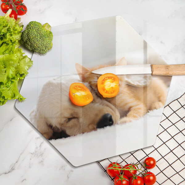 Cache plaque de cuisson Animaux chien et chat