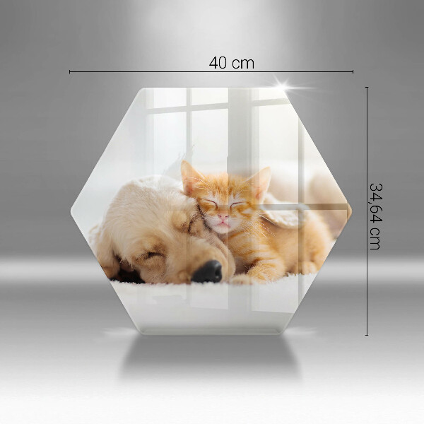 Cache plaque de cuisson Animaux chien et chat