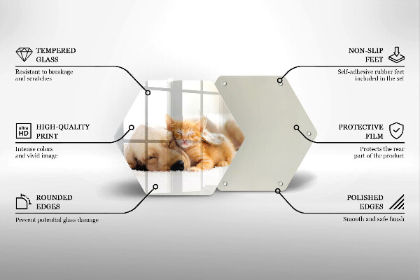 Cache plaque de cuisson Animaux chien et chat